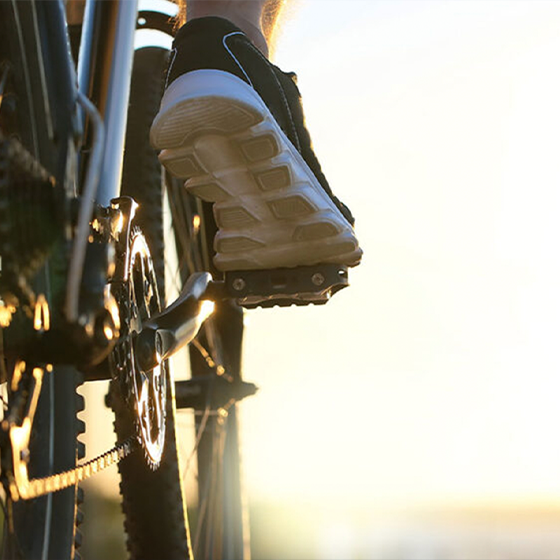 How to Get Around Albuquerque Without a Car
