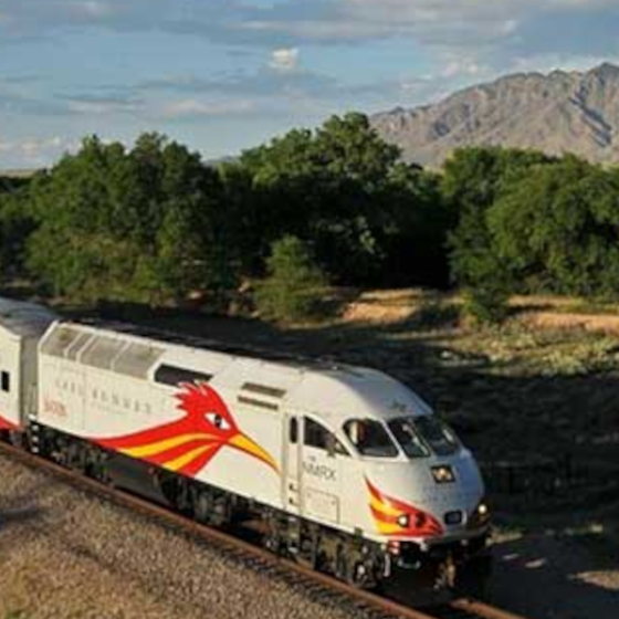 Rail Runner Passing the Mountains