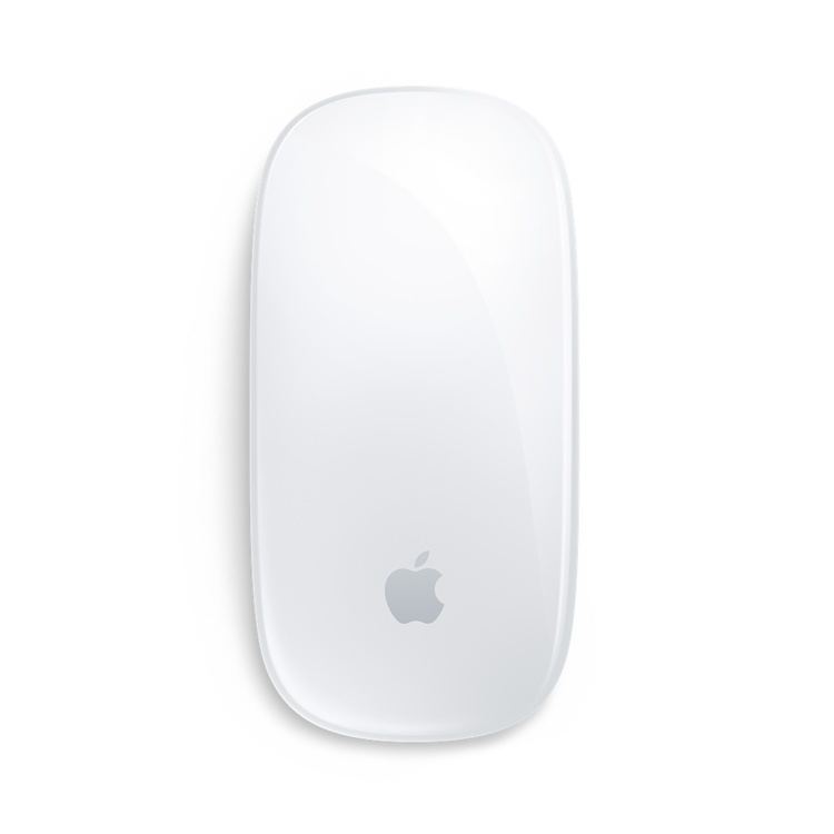Magic Mouse Magic Mouse 2 Apple for Business Apple UK