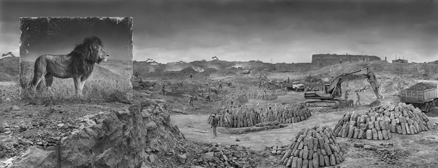 Quarry With Lion 2014 4000px