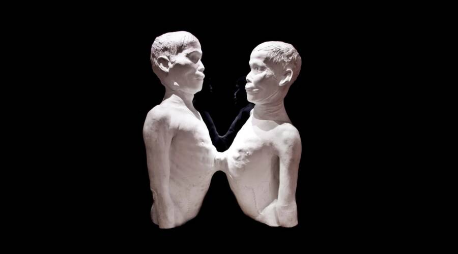 Plaster Death Cast