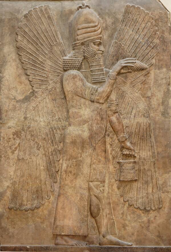 Winged Jinn With Pollen Bucket