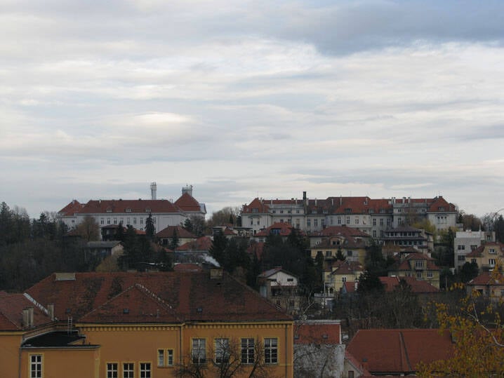 Medveecak Street