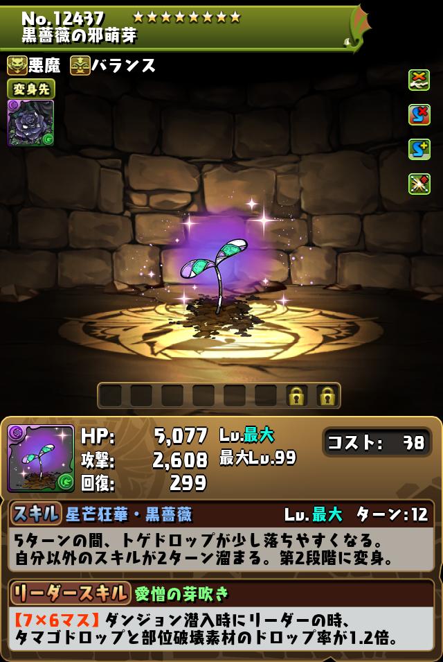 黒薔薇の邪萌芽_画像