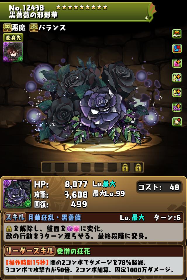 黒薔薇の邪影華_画像