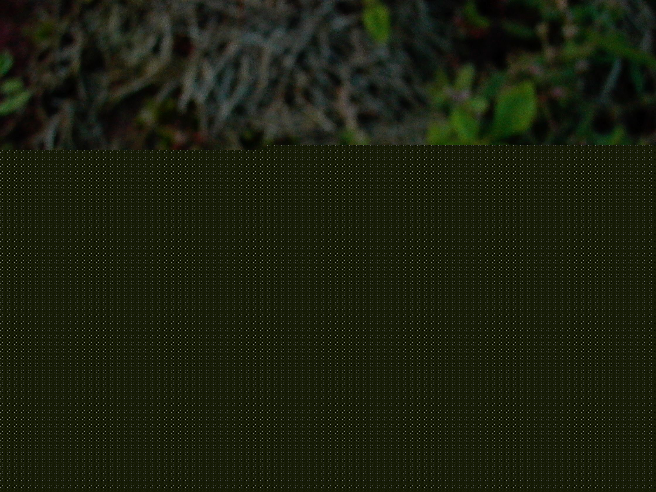 永武高速上杭收费站---LC5