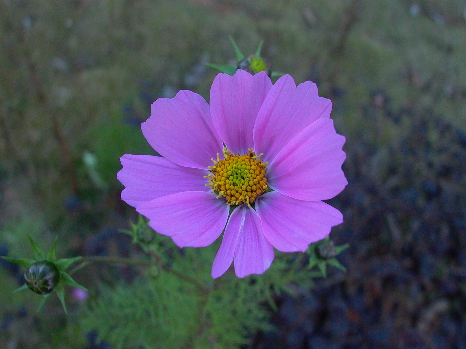 永武高速上杭收费站---LC5