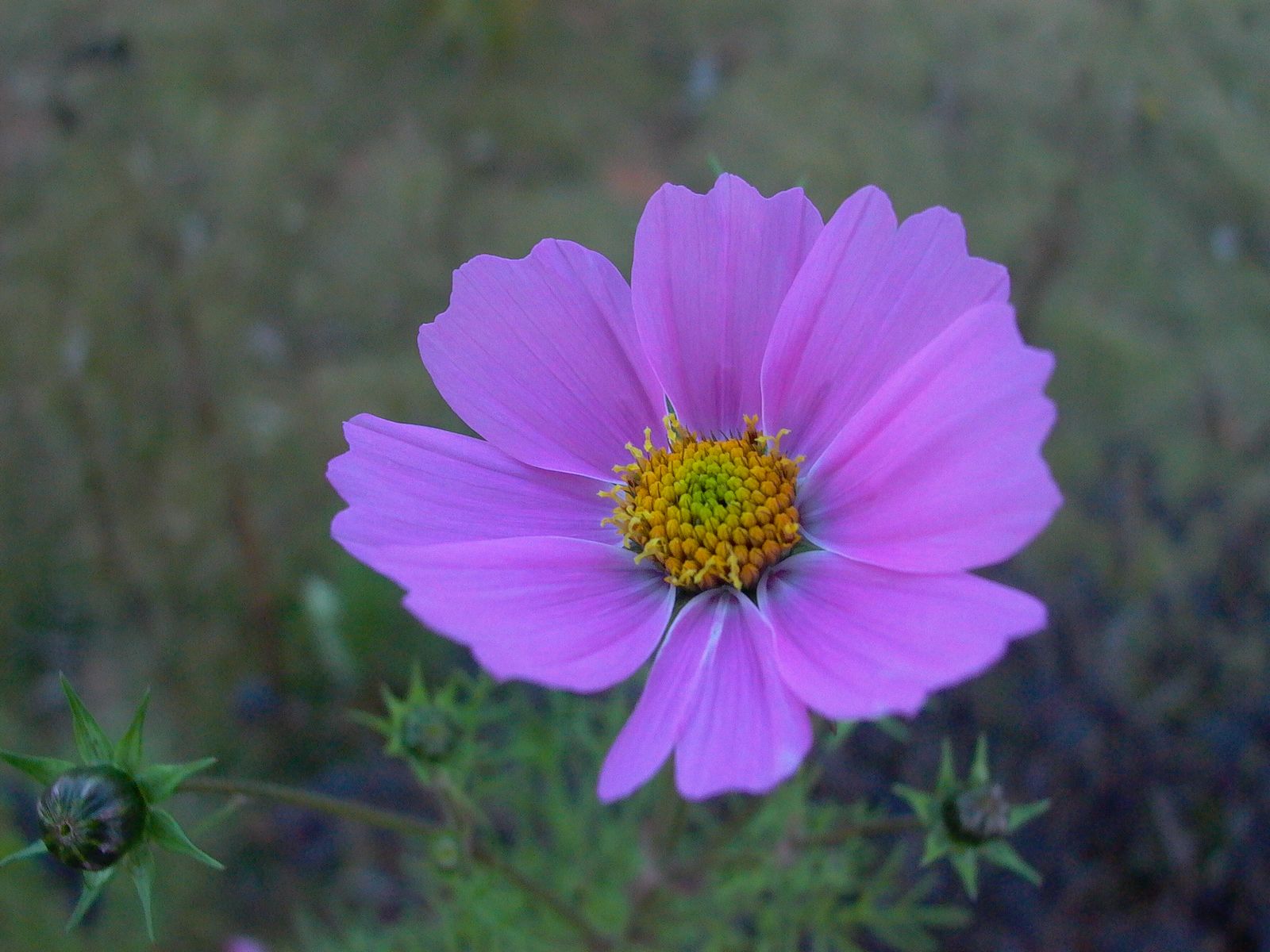 永武高速上杭收费站---LC5