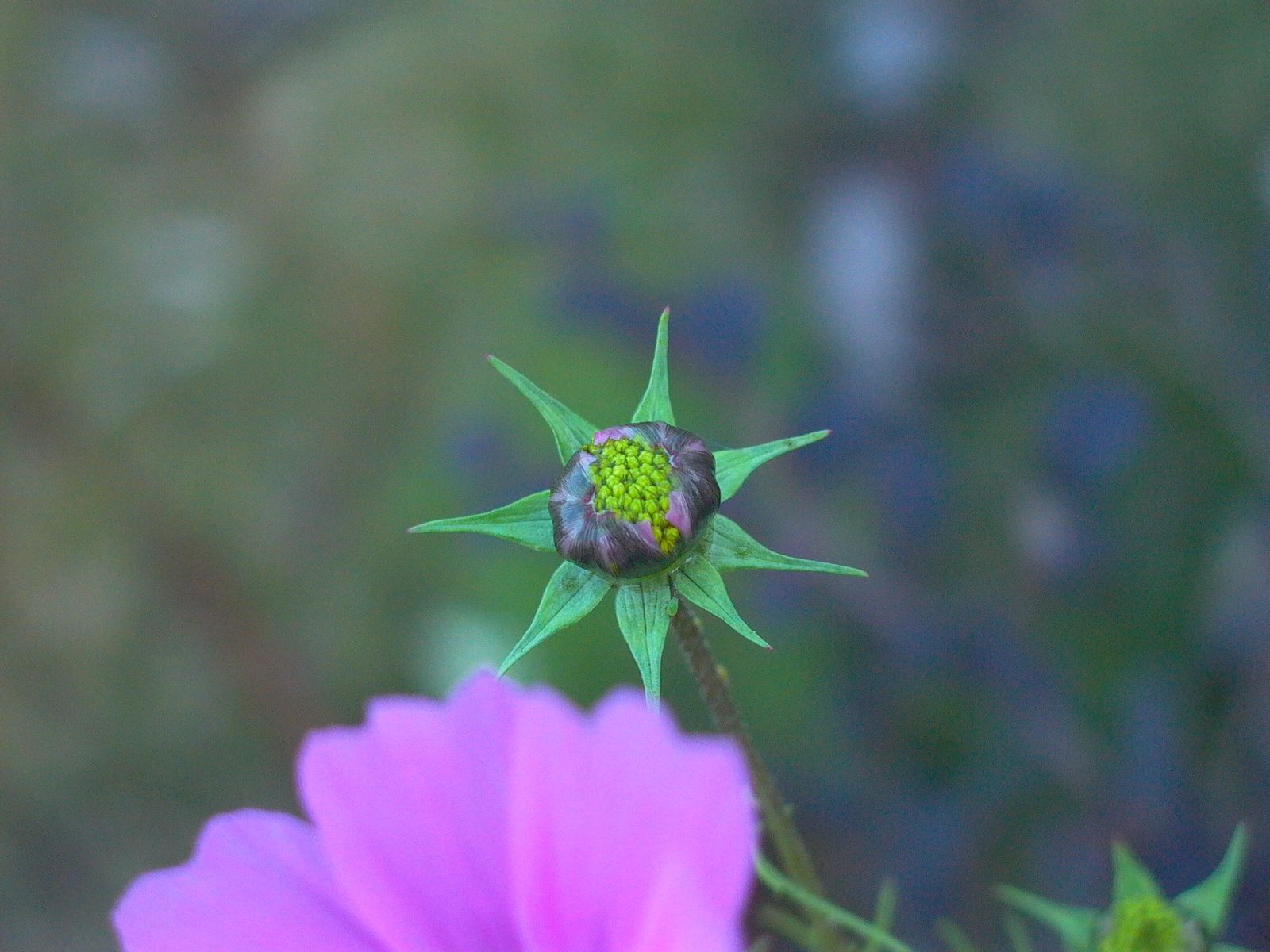 永武高速上杭收费站---LC5