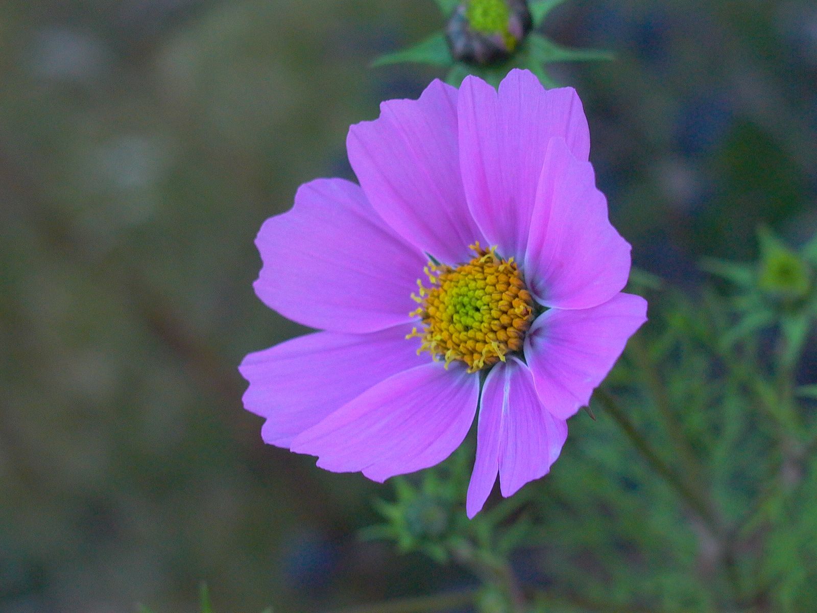 永武高速上杭收费站---LC5