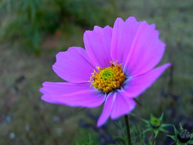 永武高速上杭收费站---LC5