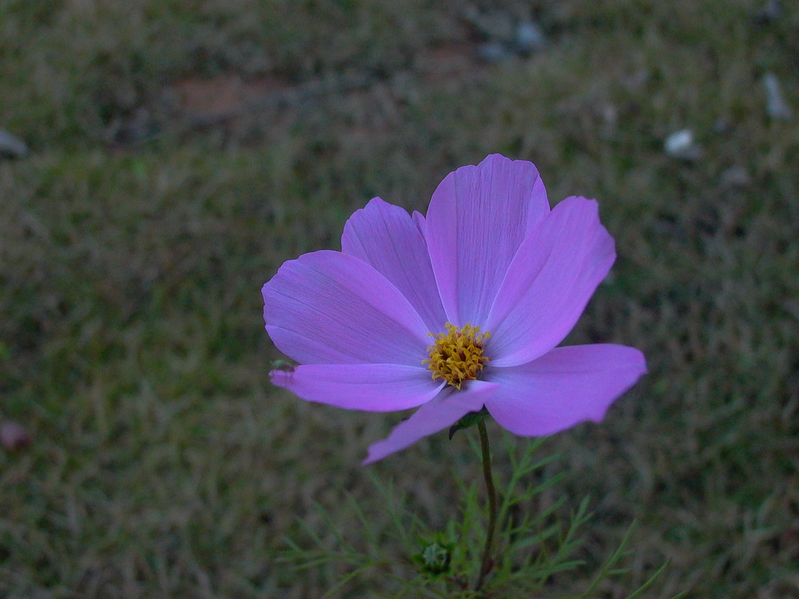 永武高速上杭收费站---LC5