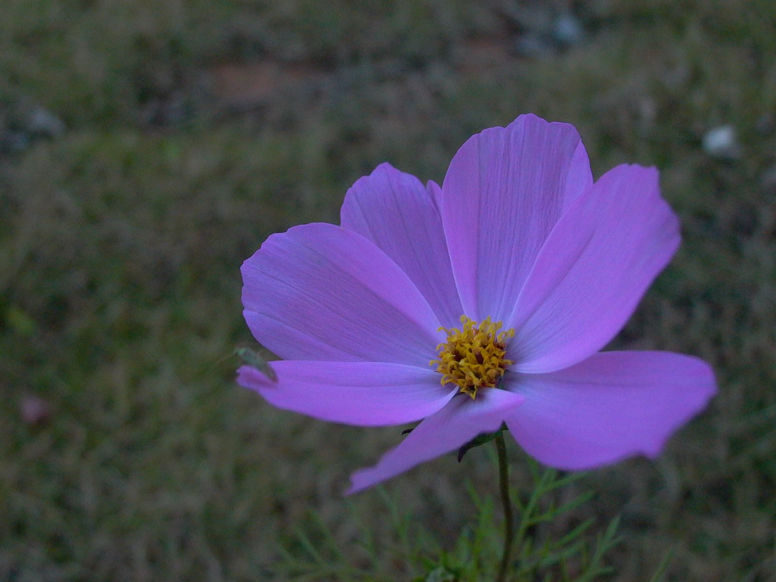 永武高速上杭收费站---LC5