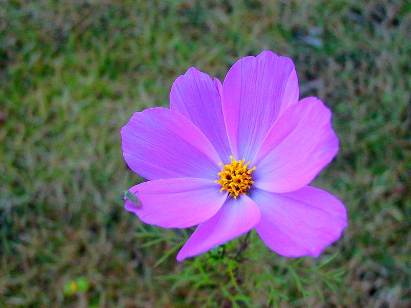 永武高速上杭收费站---LC5