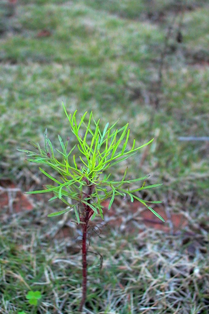永武高速上杭收费站---LC5