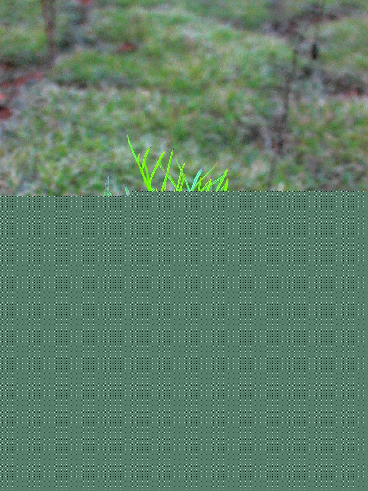 永武高速上杭收费站---LC5