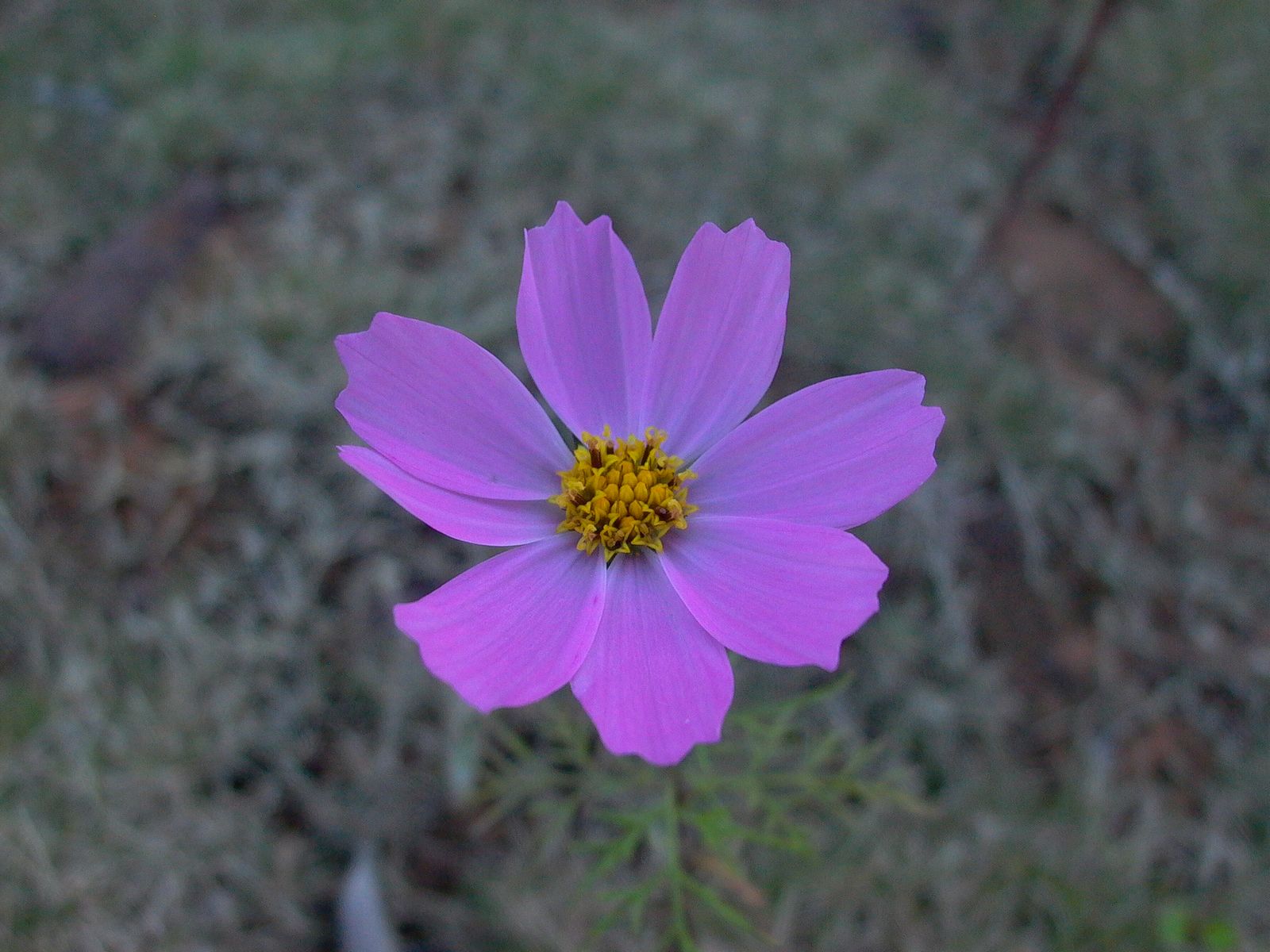 永武高速上杭收费站---LC5