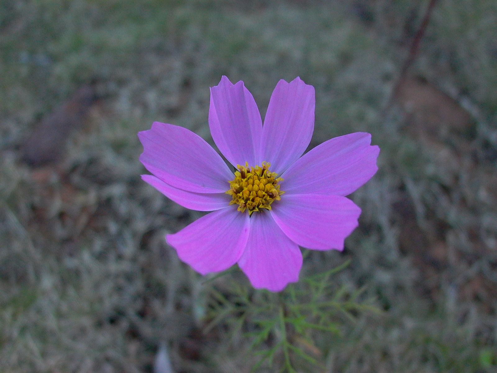 永武高速上杭收费站---LC5