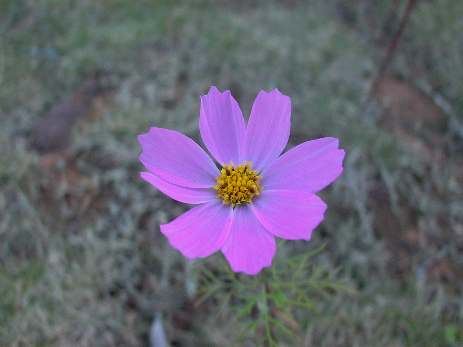 永武高速上杭收费站---LC5