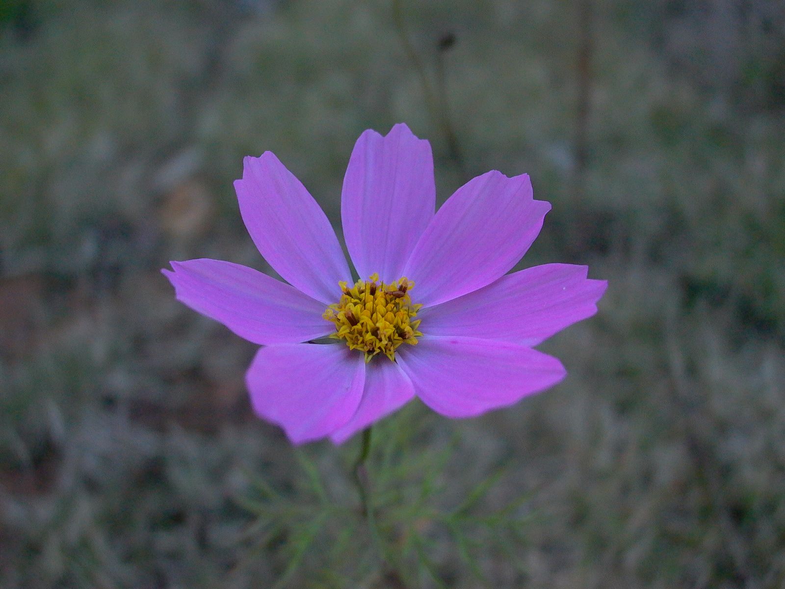 永武高速上杭收费站---LC5