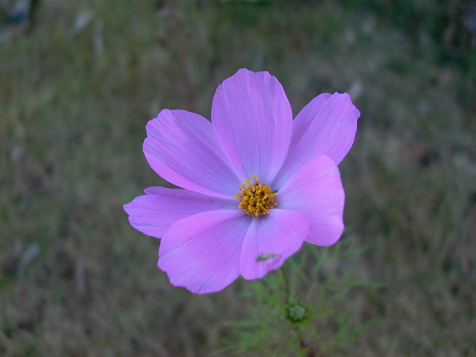 永武高速上杭收费站---LC5