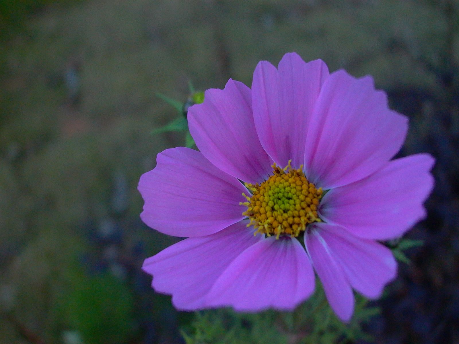 永武高速上杭收费站---LC5