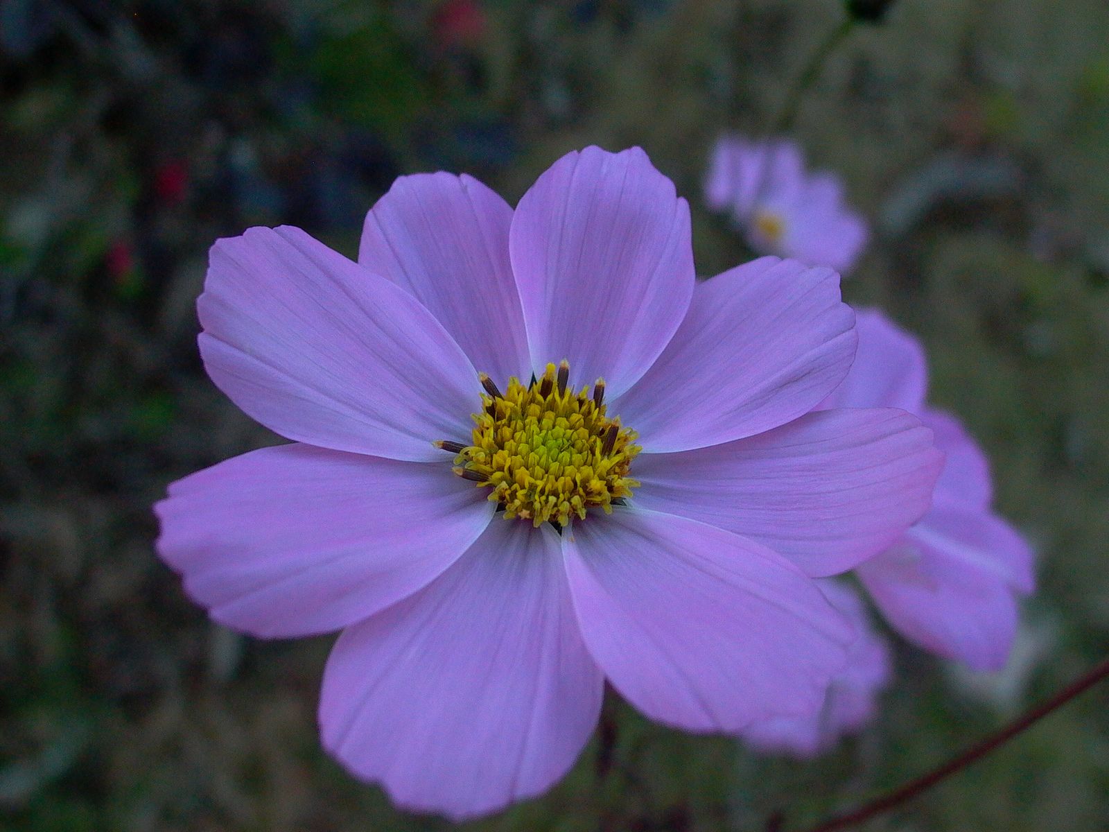 永武高速上杭收费站---LC5