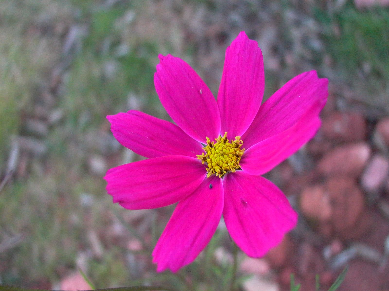 永武高速上杭收费站---LC5