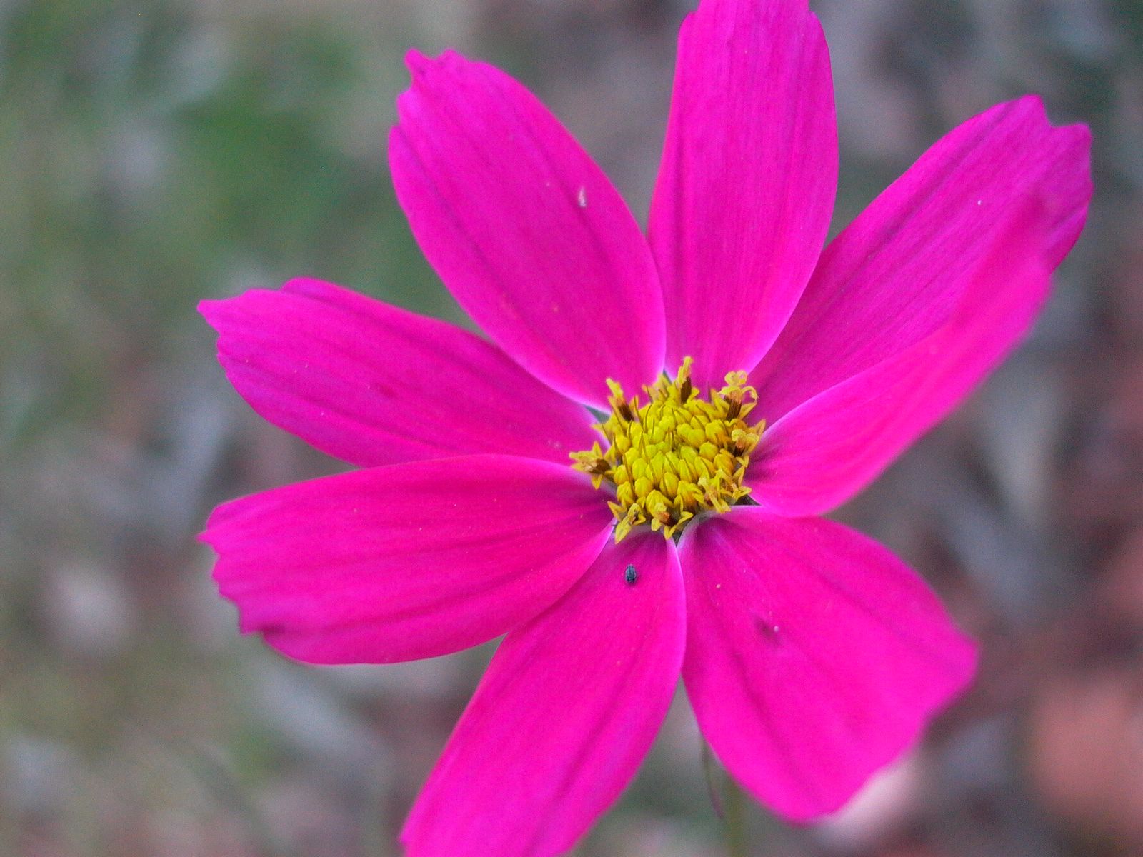 永武高速上杭收费站---LC5