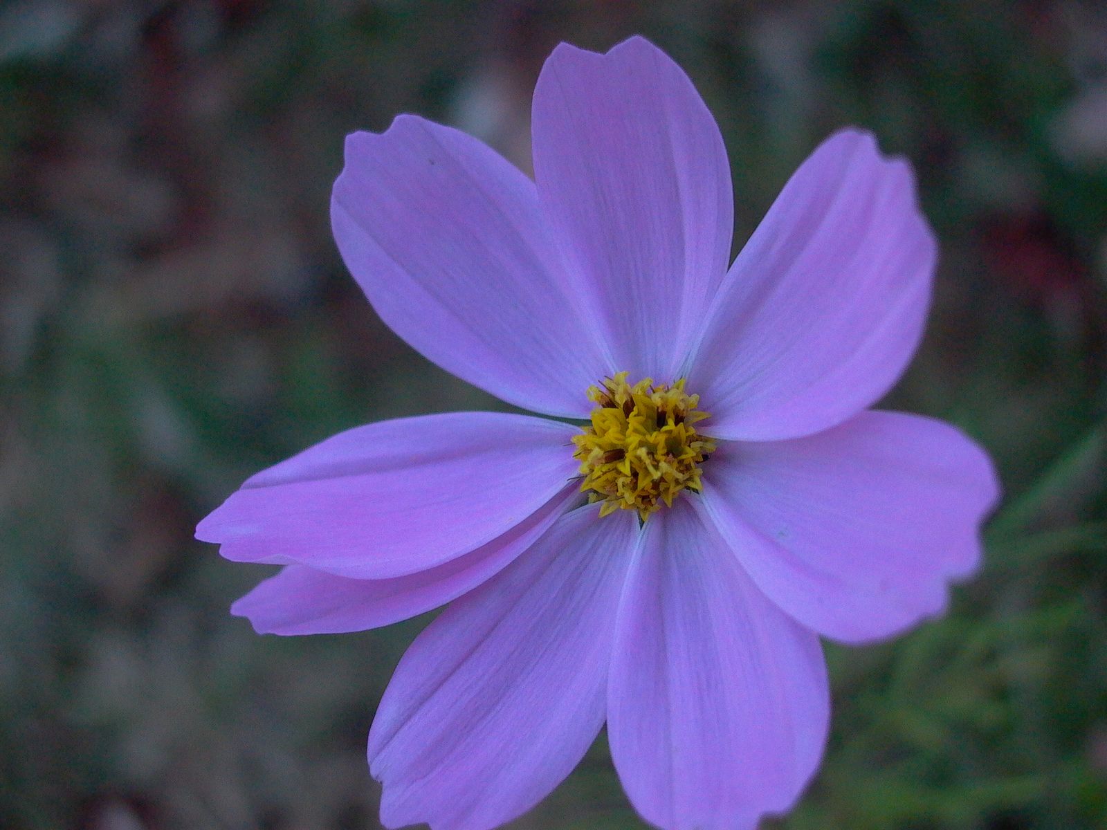 永武高速上杭收费站---LC5