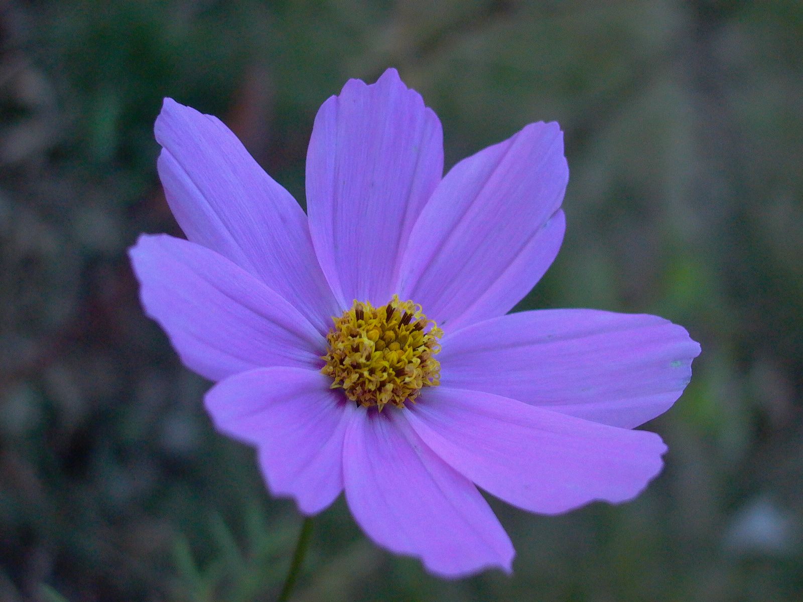 永武高速上杭收费站---LC5