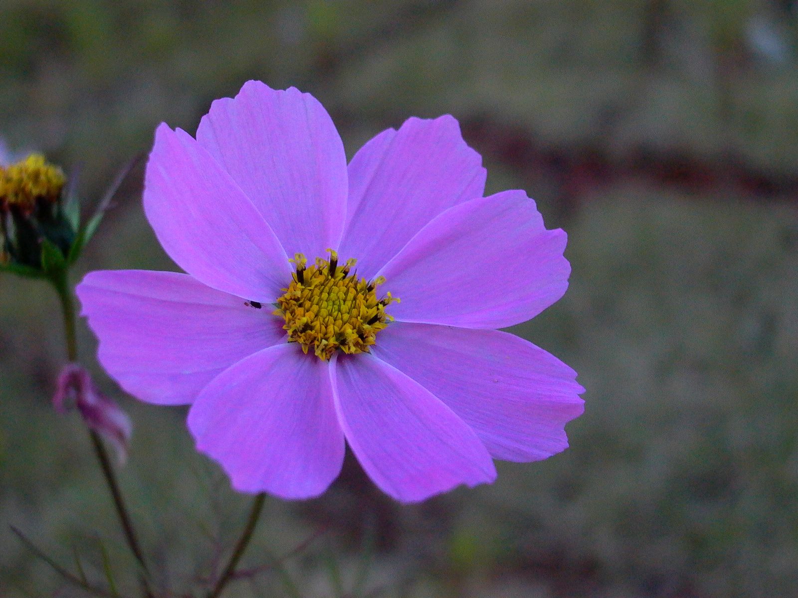 永武高速上杭收费站---LC5