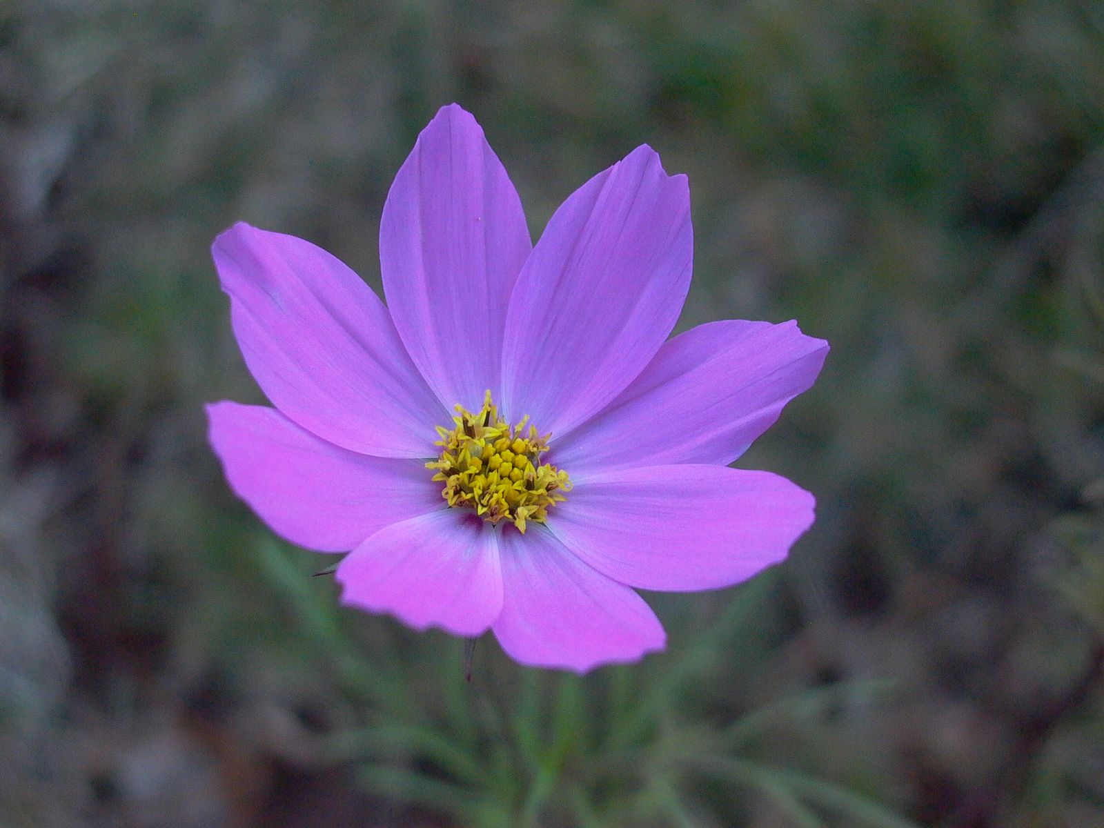 永武高速上杭收费站---LC5