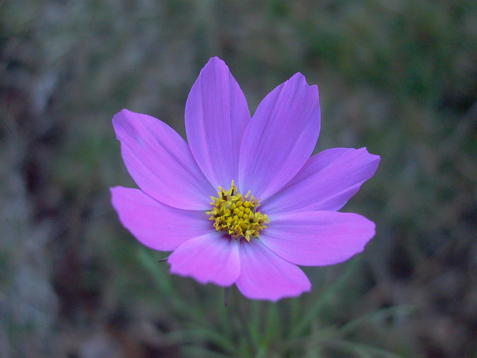 永武高速上杭收费站---LC5