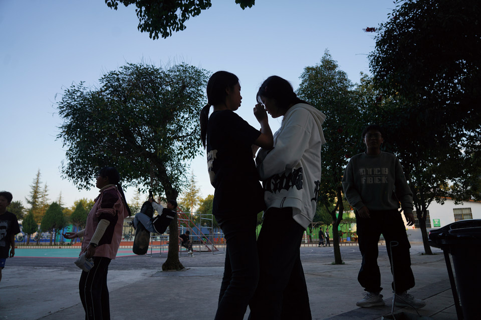 “丑小鸭”的生长:一所学校防治青少年抑郁的探索与思考