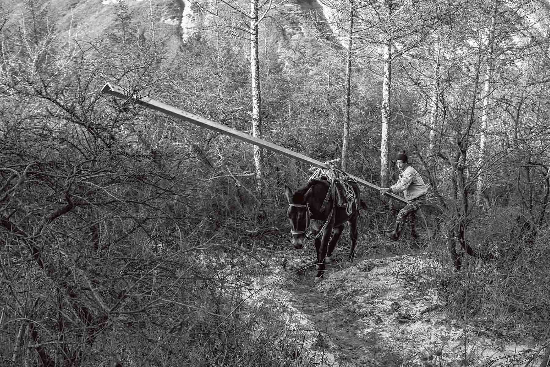 纪念抗战胜利80周年|纪念同仇敌忾的昨天,共创民族复兴的明天——记港澳台同胞参加纪念中国人民抗日战争暨世界反法西斯战争胜利80周年大会
