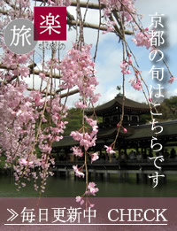 µþÅÔºù£²£°£°£¹