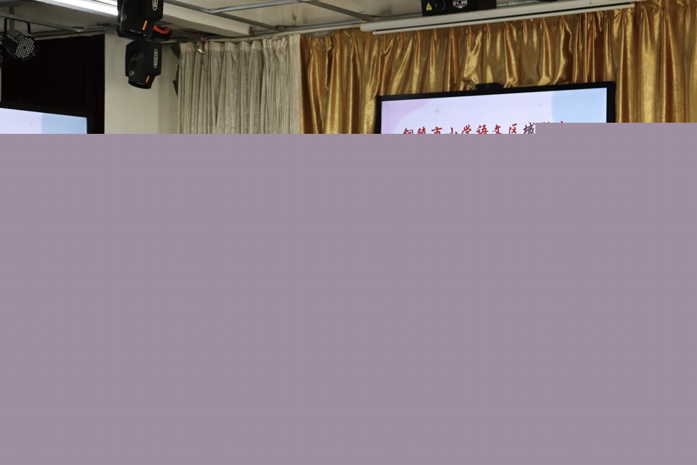 枞阳、郊区小学语文区域教研活动举行