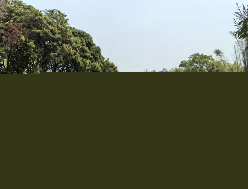 最宜相携赏春光 | 现场快评③