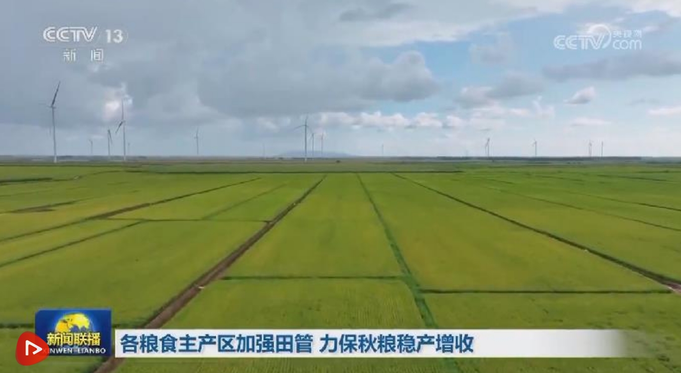各粮食主产区加强田管 力保秋粮稳产增收