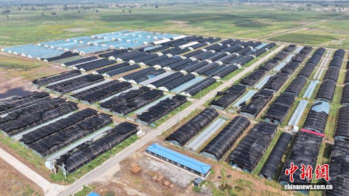 “直播+”,让文明实践触“屏”可及_