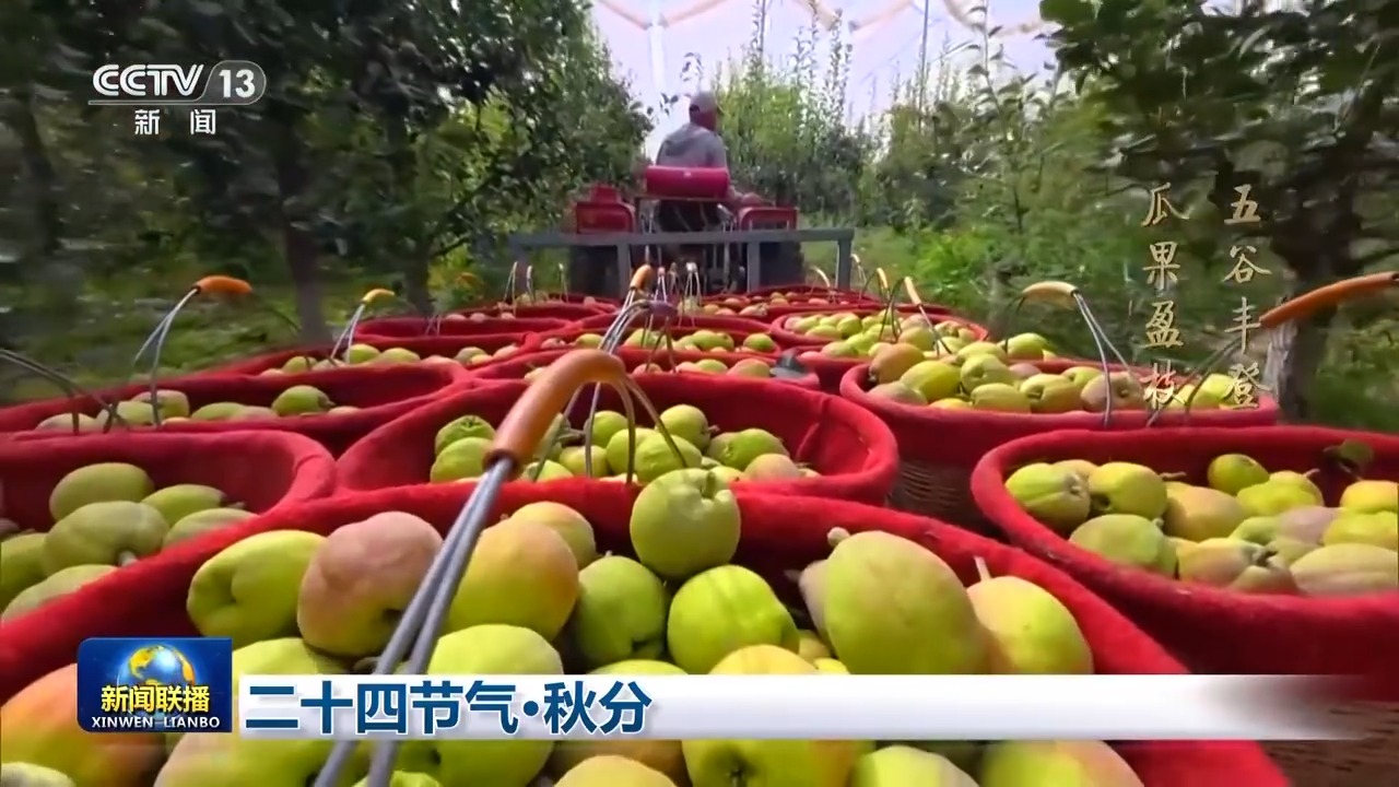 金水情暖台胞 服务共筑同心