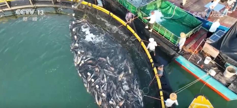 平潭推出对台“离境退税+”入境消费互惠模式