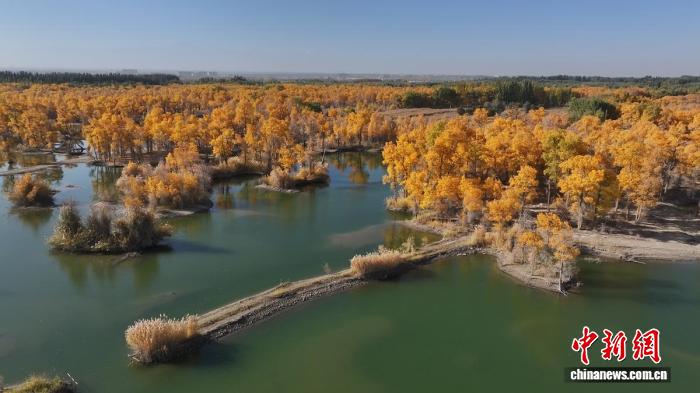 台达杯国际太阳能建筑设计竞赛二十周年大会在京举办 二十载绿色创新再启新程