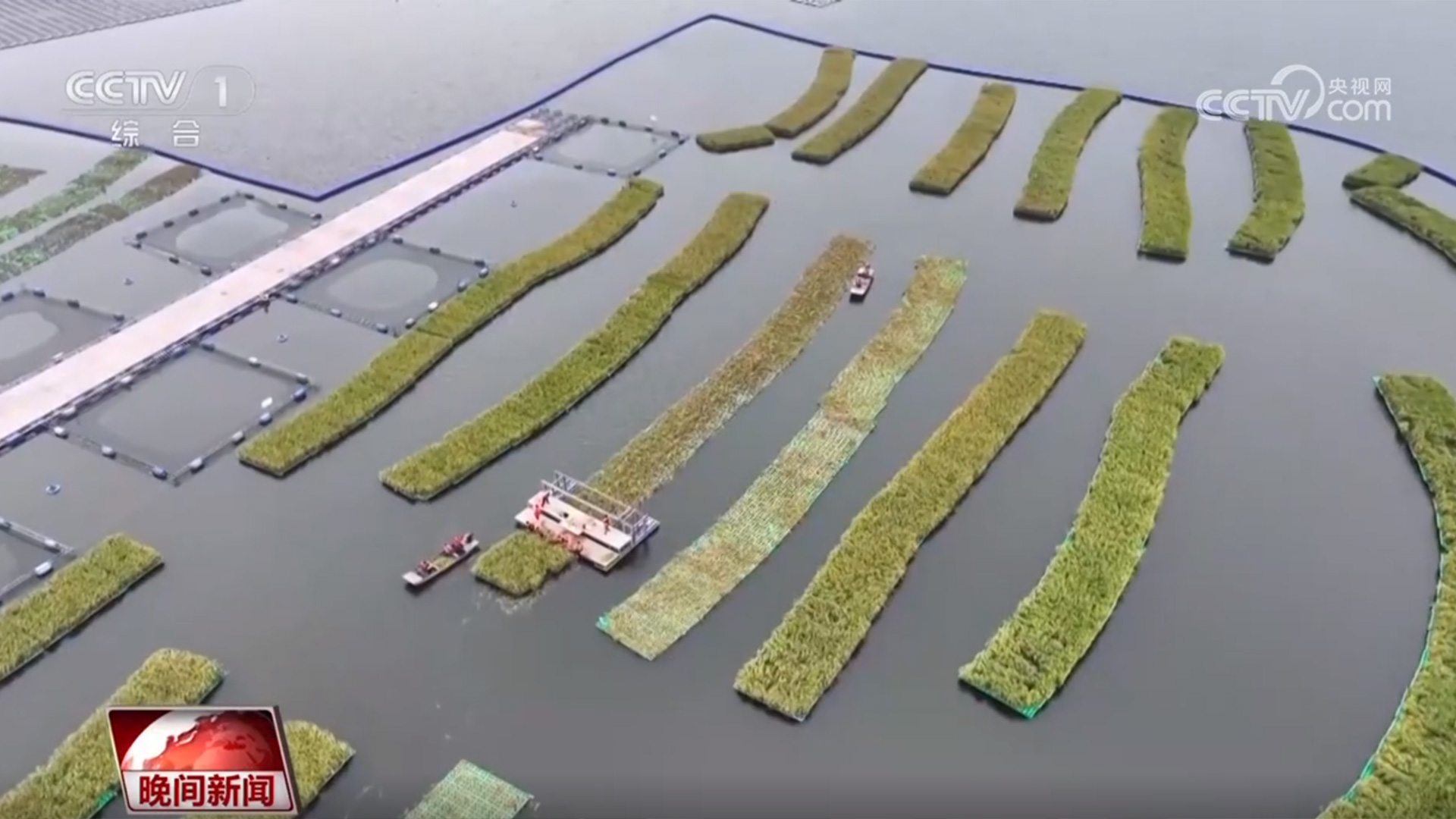 稻浪翻滚、瓜果飘香 神州大地好“丰”景