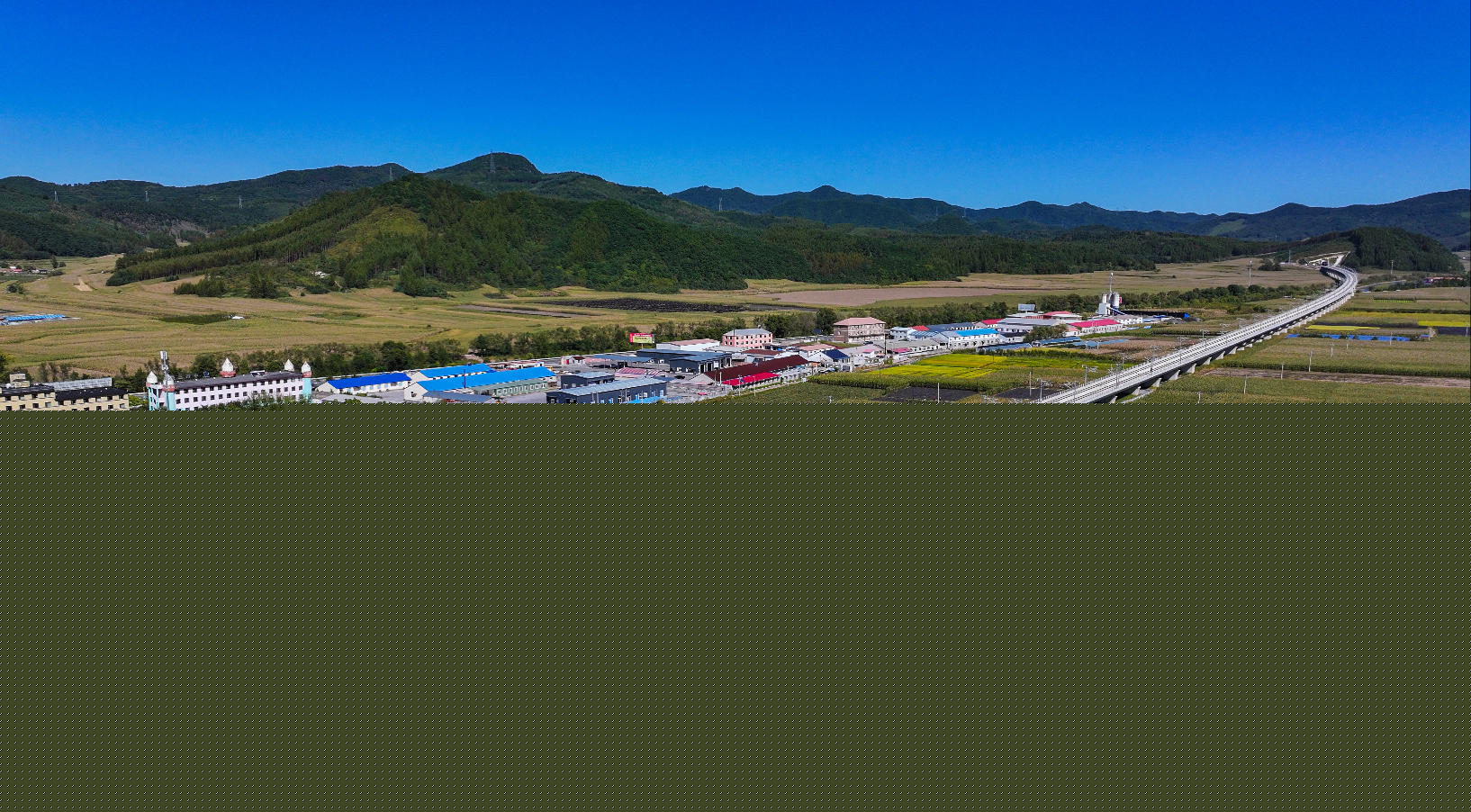 “在中国,我感受到了‘说到做到’的力量”