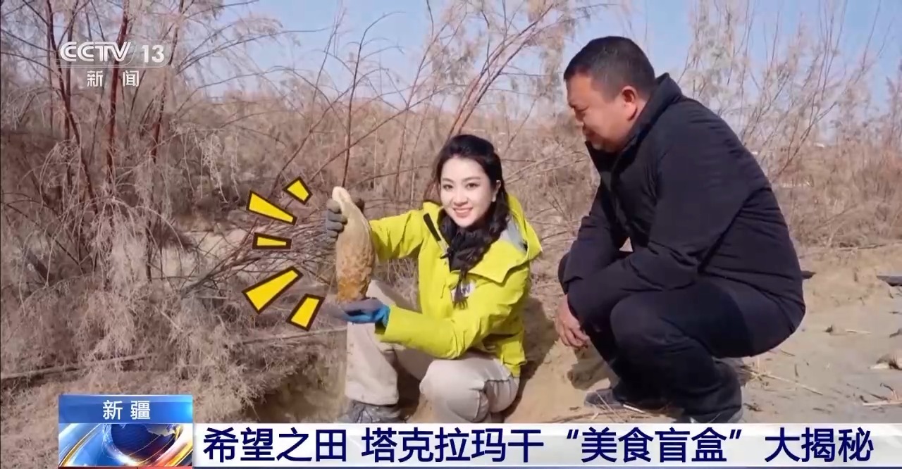 滁州财政推动基本公共卫生服务提质增效_