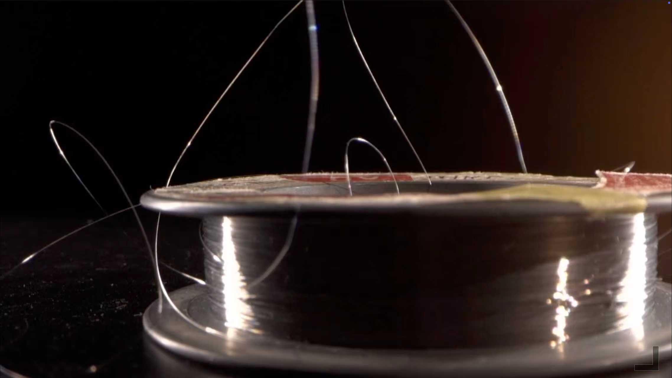 以“宽容与多元文化”为主题 两岸名家在深圳对谈