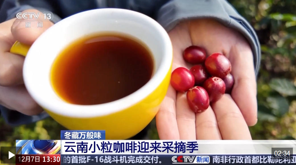 视频丨一粒豆一颗柑 中国味道饮品里藏着“绿色致富密码”