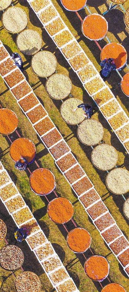 国铁集团:不可能给第三方平台“优先购票权”